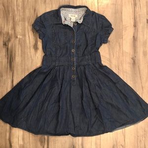 Denim Dress, Dark Wash Chambray